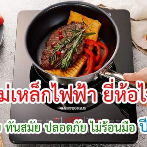 เตาแม่เหล็กไฟฟ้า ยี่ห้อไหนดี