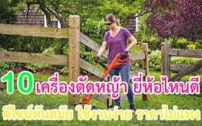 เครื่องตัดหญ้า ยี่ห้อไหนดี