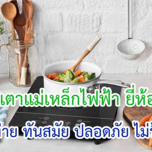 เตาแม่เหล็กไฟฟ้า ยี่ห้อไหนดี