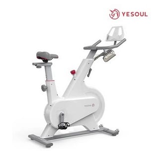Yesoul M1 จักรยานออกกำลังกาย