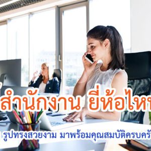 เก้าอี้สำนักงาน ยี่ห้อไหนดี