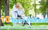 วีลแชร์ ยี่ห้อไหนดี