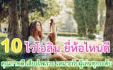 ไวโอลิน ยี่ห้อไหนดี