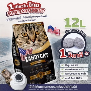 Zandycat ทรายแมวภูเขาไฟ