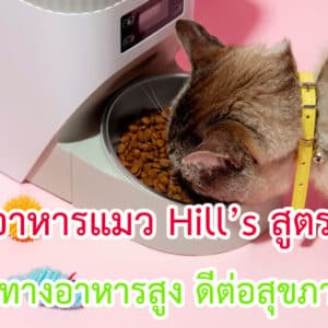 อาหารแมว Hill’s สูตรไหนดี