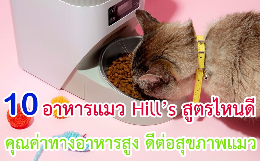 อาหารแมว Hill’s สูตรไหนดี