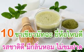 ชาเขียวมัทฉะ ยี่ห้อไหนดี