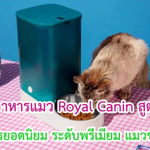 อาหารแมว Royal Canin