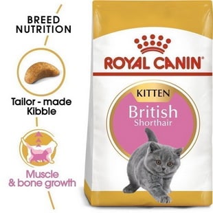 Royal Canin อาหารเม็ดลูกแมวพันธุ์บริติช ชอร์ทแฮร์ สูตร Kitten British Shorthair