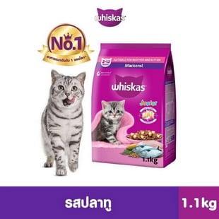 อาหารลูกแมว WHISKAS Junior Dry