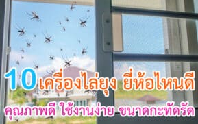 เครื่องไล่ยุง ยี่ห้อไหนดี