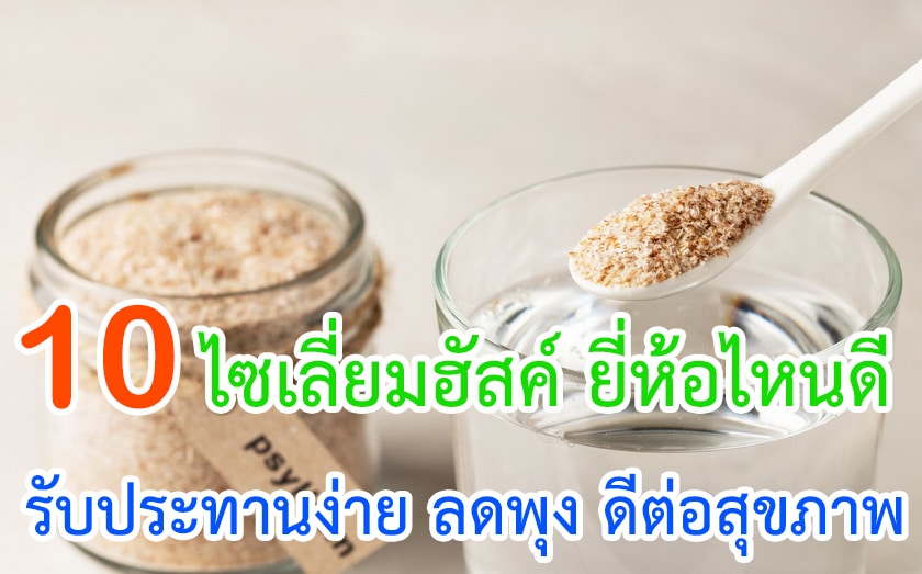 ไซเลี่ยมฮัสค์ ยี่ห้อไหนดี