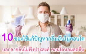 ของใช้แก้ปัญหากลิ่นอับในคอนโด