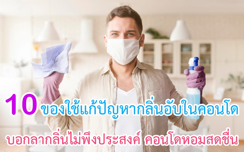 ของใช้แก้ปัญหากลิ่นอับในคอนโด